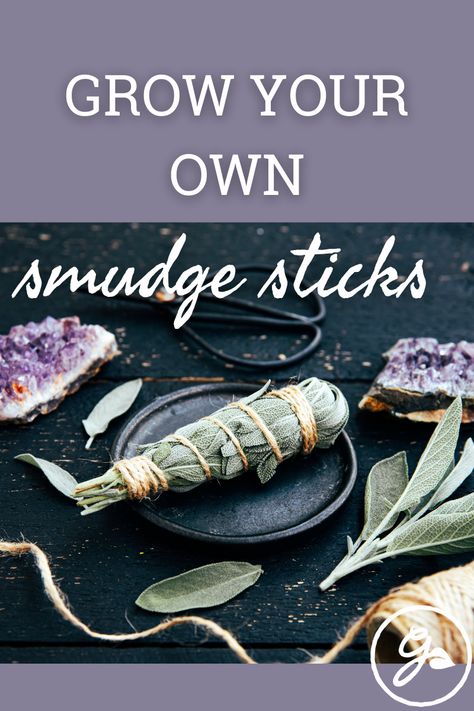 You can make a smudge stick and carry out your own rituals by growing and drying sage and other herbs. Click to learn how. Lavender Sage Smudge Sticks, How To Make Your Own Sage Smudge Stick, How To Make A Smudge Stick Diy, Make Your Own Smudge Stick, How To Make Smudge Bundles, Growing Sage For Smudging, Wrapping Sage Bundles Diy, How To Make A Sage Bundle, Making Sage Bundles