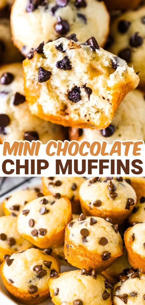 Christmas Muffins For Kids, Healthy Mini Muffins For Kids, Easy Chocolate Chip Muffins, Bakery Style Chocolate Chip Muffins, Chocolate Chip Mini Muffins, Mini Muffin Tin Recipes, Simple Breakfast Recipes, Chocolate Chip Muffins Recipe, Mini Muffin Recipe