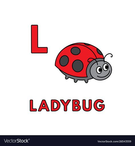 L Is For Ladybug, Ladybug Vector, Education Vector, Animals Alphabet, Children Education, Alphabet Cards, English Alphabet, Letter L, Animal Alphabet