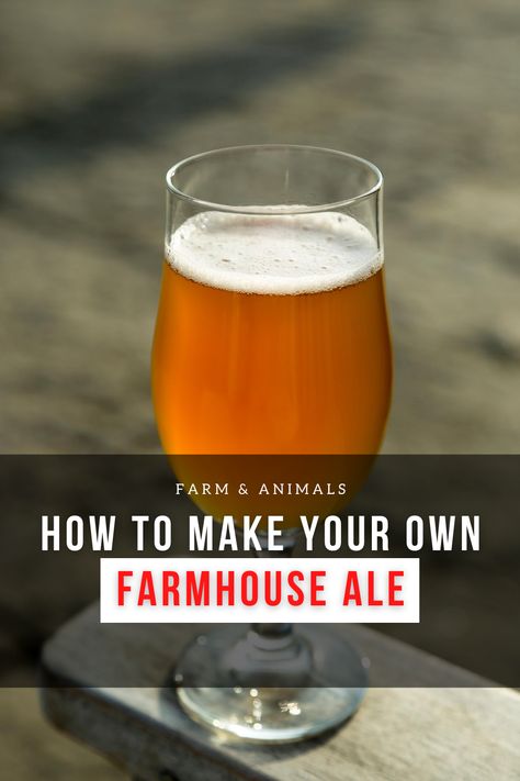 Home Brew Recipes Beer, Home Beer Brewing, Medieval Thanksgiving, Brewing Beer At Home, Beer Recipes Homebrew, How To Brew Beer, Octoberfest Beer, Craft Beer Recipes, Beer Brewing Recipes