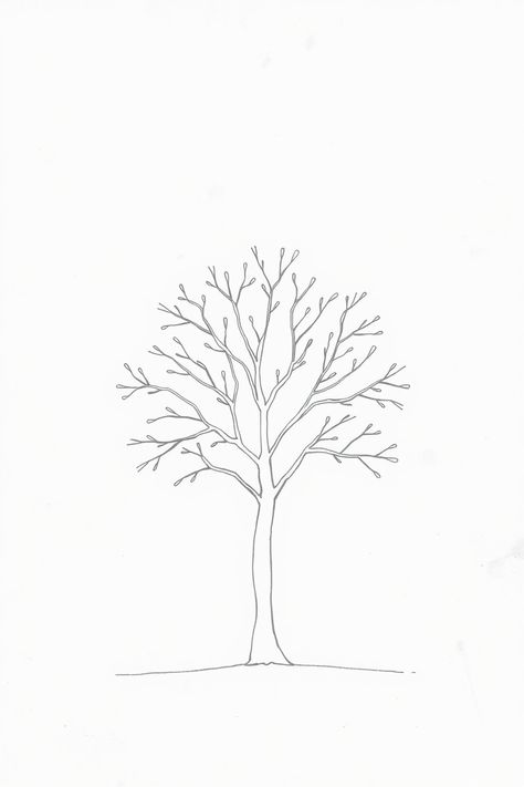 Check Out This Simple Line Drawing Of A Tree & 12+ Other Tree Drawing Ideas! #drawing #drawinginspiration Mini Tree Drawing, Drawing Trees Simple, How To Draw A Tree Step By Step Easy, Tree Simple Drawing, Tree Outline Drawing, How To Draw A Tree, Simple Tree Drawing, Tree Of Life Drawing, Tree Drawing Ideas