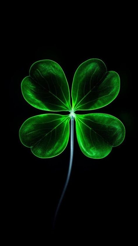 Green Leaf Wallpaper Iphone, Four Leaf Clover Wallpaper, Good Luck Wallpaper, Luck Wallpaper, Leaves Wallpaper Iphone, Image Zen, Clover Wallpaper, Good Luck Clover, Lucky Wallpaper