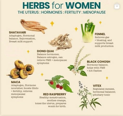 Menaposal Herbs, Mood Boosting Herbs, Medicinal Herbs Remedies, Herbal Education, Medical Herbs, Ayurvedic Healing, Healing Tea, Herbal Healing, Health Skin Care