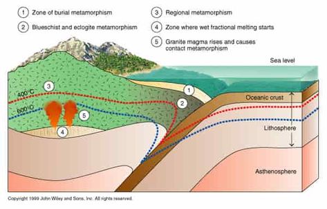 When rocks are buried deep in the crust, regional metamorphism occurs. This is commonly associated with the boundaries of convergent plate Brooklyn College, College Core, Subduction Zone, Earth History, Ocean Science, Geology Rocks, Plate Tectonics, Love Rocks, Science News