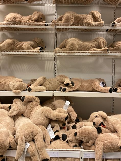 Ikea Dog Plush, Ikea Teddy Bear, Ikea Plushies Aesthetic, Plushie Wallpaper, Plushie Aesthetic, Ikea Plushies, Ikea Dog, Ikea Doll, Story Post Ideas