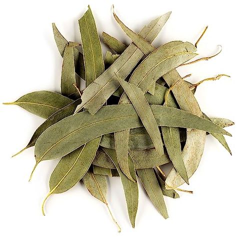 Eucalyptus: un de symboles de l'Australie avec les kangourous et Koala qui raffolent particulièrement de ses feuilles. Quand on parle d'eucalyptus, on... Treating Toenail Fungus, Eucalyptus Cinerea, One Medical, Eucalyptus Tea, Tea Varieties, Herbal Teas Recipes, Lemon Eucalyptus, Feuille Eucalyptus, Lemon Myrtle