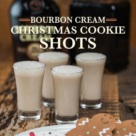 Christmas Cookie Shots made with Buffalo Trace Bourbon Cream - All the comforting festive flavor you need. No baking required. Buffalo Trace Bourbon Cream Recipes, Bourbon Cream Drinks, Bourbon Cream Cocktail, Layered Shots, Cookie Shot, Buffalo Trace Bourbon, Whiskey Drinks Recipes, Flavored Alcohol, Xmas Drinks