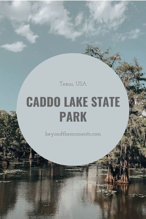 Caddo Lake State Park, including Caddo Lake, holds an array of cypress trees, bayous, ponds, and sloughs in northeastern Texas and northwestern Louisiana. Caddo Lake Texas, Caddo Lake State Park, Caddo Lake, Park Activities, Texas Travel Guide, Texas Lakes, Cypress Texas, Us Road Trip, Travel Things