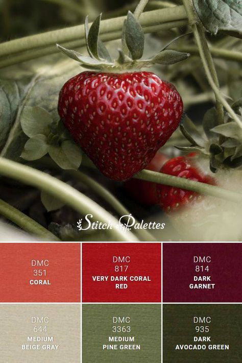 Green And Wine Color Scheme, Combination Red Color, Muted Red And Green Color Palette, Red Green Tan Color Palette, Red Green Gray Color Palette, Red Colour Palette Aesthetic, Dmc Color Palette Red, Raspberry And Green Color Palette, Sage Green Red Color Palette