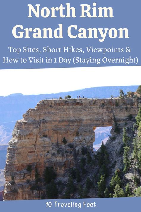 Top Sites, Best Short Hikes, Stunning Viewpoints and how to make the most of a 1 day visit to the North Rim of Grand Canyon in Arizona. Trip To Grand Canyon, Family Hiking, Arizona Road Trip, Utah Road Trip, Hiking With Kids, Best Family Vacations, Us Travel Destinations, National Parks Usa, Family Friendly Activities