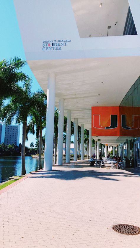 University Of Miami Aesthetic Campus, Miami College Aesthetic, The University Of Miami, Umiami College Aesthetic, U Miami Aesthetic, Umiami Student Aesthetic, University Of Miami Aesthetic, Umiami College, University Of Miami Campus