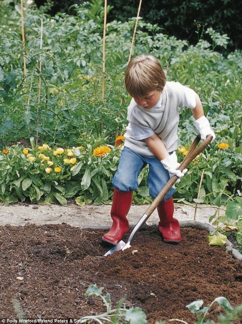 If you are lucky enough to have a large garden, your children will take great pleasure in having their own vegetable patch. It's a great way for them to learn about nature and food. Farm Lifestyle, Shotting Photo, Children's Garden, Family Garden, Fostering Children, Kew Gardens, Covent Garden, Autumn Garden, Gardening For Kids