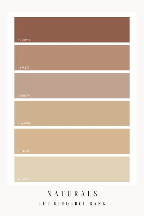 A natural colour palette, filled with warm toned nudes and browns. Use this beautiful colour palette to build a cohesive Canva design Collor Pallete Beige, Tan Color Palette Clothes, Brown Color Plattes, Brown Gold Colour Palette, Coffee Tone Colour Palettes, Brown Tones Palette, Brown Colour Palette Aesthetic, Oatmeal Colour Palette, Light Tan Color Palette