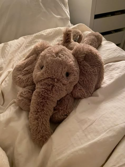 Cute Stuff Animals Aesthetic, Jelly Cat Elephant, Jellycat Sea Creatures, Jelly Cats Stuffed Animals, Jelly Cat Teddy, Cute Jelly Cats, Jelly Cats Aesthetic, Jellycat Elephant, Jelly Cat Aesthetic