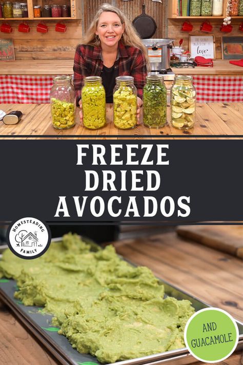 Freeze Dried Guacamole, How To Freeze Dry Fruit At Home, Freeze Dry Tomatoes, How To Freeze Dry Herbs, Storing Freeze Dried Food, Freeze Dry Dog Food, Foods To Freeze Dry, Freeze Dried Butter, Freeze Dried Jalapenos