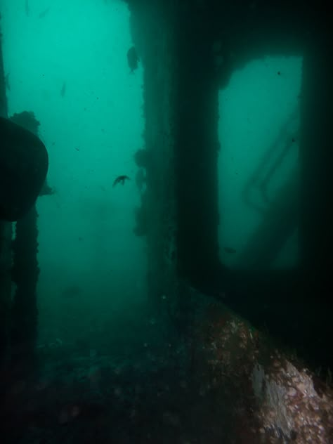 Scary Ocean Pictures, Spooky Ocean Aesthetic, Creepy Sea Aesthetic, Deep Sea Scary, Sea Horror Aesthetic, Dark Underwater Aesthetic, Ocean Horror Aesthetic, Creepy Aquarium, North Sea Aesthetic