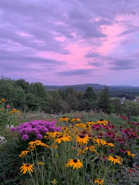 Vermont In Spring, Vermont Aesthetic Summer, Vermont Flowers, Grafton Vermont, Vermont Spring, Summer Visionboard, Midwestern Summer, Vermont Aesthetic, Season Of The Sticks