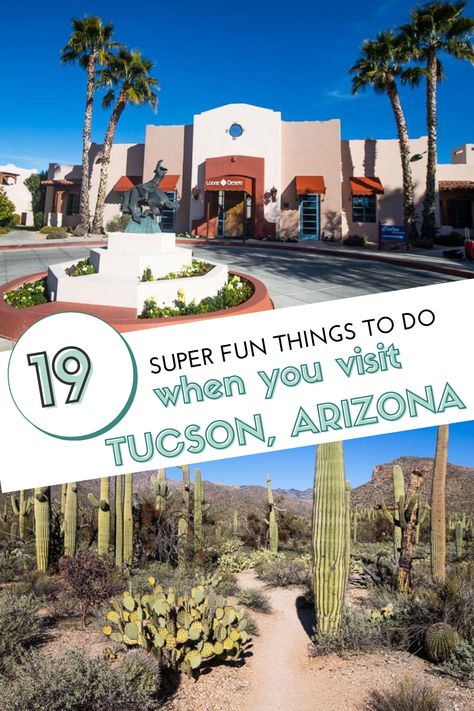 Be careful in Tucson, once you immerse yourself in this outdoor mecca, you may never want to leave. I know I’ll be back again with all the family.Below are my tips on what to do in Tucson, including where to eat, where to stay, and all the fun things to do in Tucson AZ (with or without kids!) Things To Do In Tucson Arizona, Tuscon Arizona Things To Do, Arizona With Kids Things To Do, Best Hikes Near Tucson, Australia Beaches, Tucson Restaurants, Sonora Desert, Australia Beach, Visit Arizona