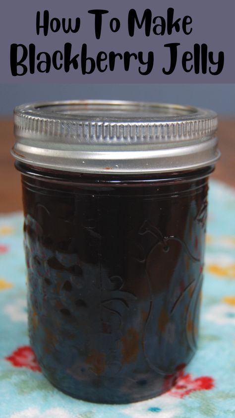 Blackberry Jelly Recipe, Canning Blackberries, Homemade Grape Jelly, Homemade Blackberry Jam, Blackberry Jam Recipes, Blueberry Jelly, Canning Jam Recipes, Easy Canning, Recipes By Ingredients