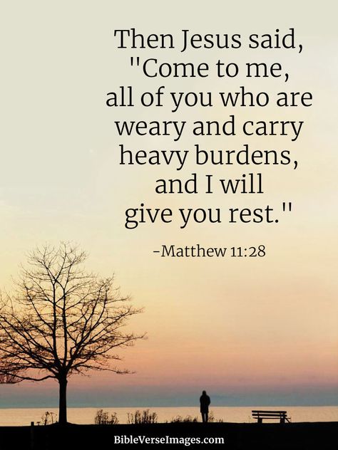 Verses About Healing, Bible Verses About Healing, Comfort Verses, Healing Bible Verses, Healing Verses, Comforting Bible Verses, Best Bible Verses, Max Lucado, Powerful Bible Verses