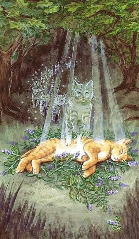 Cat Praying To God, Losing A Cat, Rip Cat, Animals In Heaven, My Cat Died, Afterlife Art, Miss My Cat, Cat Died, Pet Loss Cat