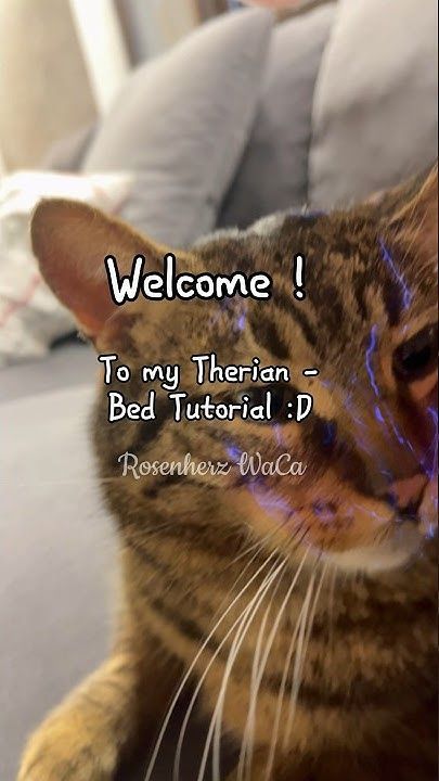 my therian - bed tutorial ! :D // #capcut #new #edit #viral #tutorial #therian #therianTutorial Diy Things To Make For Your Best Friend, Bed Nest Tutorial, How To Make A Nest In Your Bed, Therian Tips Cat, How To Make A Therian Den, Therian Stuff To Do, Therian Eyes Ideas, Therian Room Decor Ideas Diy, Therian Diy Crafts