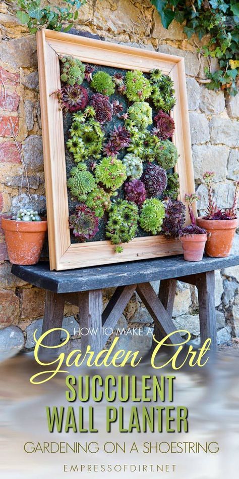 Diy Succulent Wall, Succulent Wall Planter, Succulent Ideas, Succulent Garden Design, Living Wall Art, Upcycle Garden, Garden Frame, Succulent Garden Diy, Hanging Succulents