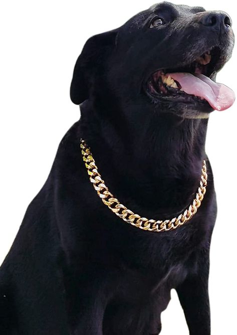 AmazonSmile : PP COLOR Gold Chain Dog Collar-3/4 Width Cuban Link Dog Necklace, Cute Fashion Pet Collar for Pit Bulldog, Light Metal Jewelry Chain Puppy Accessories 23" : Pet Supplies Chain For Dogs, Winning Trophy, Pit Bulldog, Dog Chain, Luxury Dog Collars, Hip Hop Chains, Cute Dog Collars, Huge Dogs, Puppy Accessories