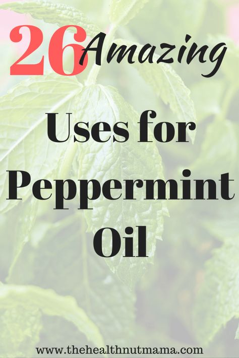 Benefits Of Peppermint Oil, Pepermint Oil, Peppermint Oil Uses, Benefits Of Peppermint, Peppermint Oil Benefits, Get Rid Of Spiders, How To Relieve Headaches, Essential Oil Benefits, Aip Paleo