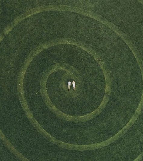 Uk Icon, Spirals In Nature, Fibonacci Spiral, Everything Is Connected, Spotify Covers, The Spiral, Playlist Covers, Source Unknown, Green Aesthetic