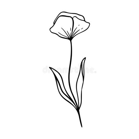 Poppy Outline Drawing, Poppy Flower Embroidery Pattern, Poppy Outline Tattoo, Poppy Drawing Simple, Poppy Flower Outline, Herbs Doodle, Poppy Embroidery Pattern, Doodle Botanical, Poppy Doodle