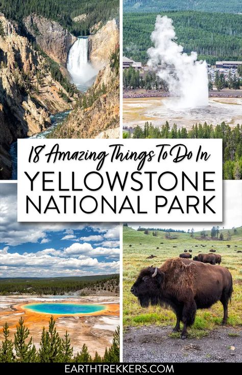 Things To Do In Yellowstone, Yellowstone National Park Vacation, Yellowstone Vacation, Grand Prismatic, Yellowstone Trip, Usa Destinations, Visit Yellowstone, Yellowstone Park, National Park Vacation