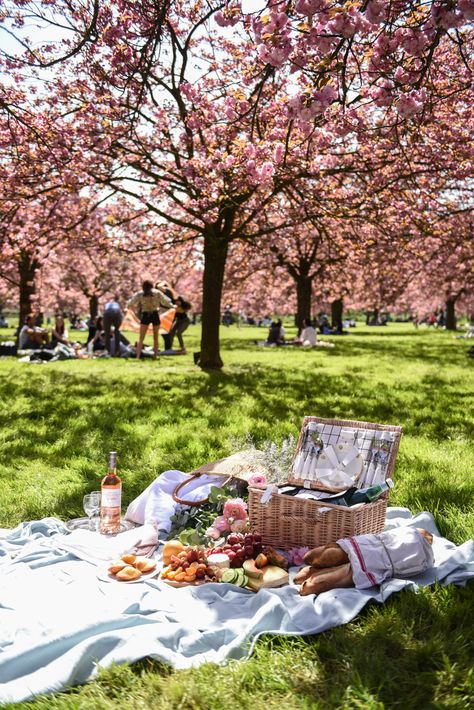 Picnic Inspiration, Romantic Picnics, Picnic Date, Pic Nic, Picnic Ideas, Perfect Picnic, Picnic Time, Picnic Food, Tumblr Photography