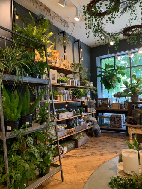 Botanical Shop Interior, Plant Shop Window Display, Retail Store Room Divider, Plant Store Interior Design, Industrial Flower Shop, Retail Plant Display, Boutique Plant Shop, Plant Shop Aesthetic Vintage, Opening A Plant Shop