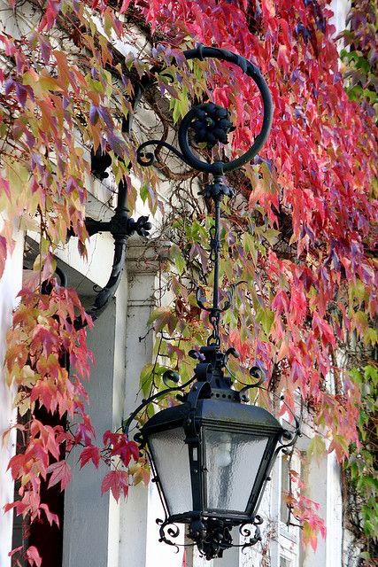 Raindrops And Roses, Old Lanterns, Lamp Posts, Porch Light, Garden Lanterns, Old Lights, Old Lamps, Lantern Lamp, Street Lights