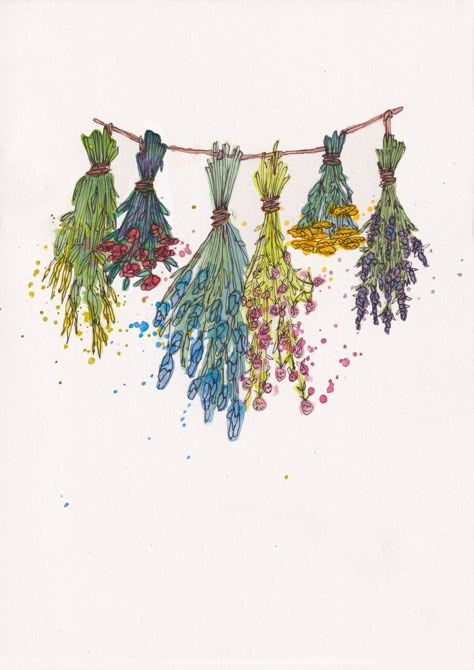 Dried Flower Illustration, Watercolor Dried Flowers, Dried Flower Drawing, Dried Flowers Tattoo, Dried Herbs Aesthetic, Dried Flower Tattoo, Herbs Painting, Bouquet Of Flowers Illustration, Herbs Drawing