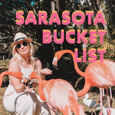 12 Best Things to do in Sarasota, Florida Southwest Florida Things To Do In, Sarasota Florida Things To Do In, Florida Day Trips, Florida Trips, Florida Vacation Spots, Sarasota Beach, Florida Travel Destinations, Siesta Key Florida, Travel Florida