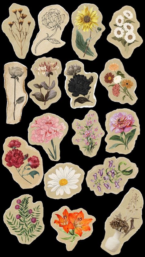 Minimalist Design For Scrapbook, Design For Scrapbook Vintage, Vintage Flowers Stickers Free Printable, Scrapbook Flower Stickers Printable, Cute Journal Stickers Printable, Floral Stickers Vintage Flowers, Cute Stickers Printable Journal Cards, Scrapbook Doodles Ideas, Cut Outs For Collage