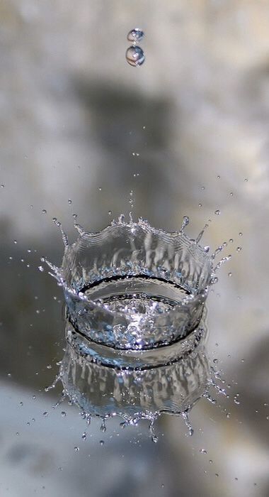 Water Drop Images, Macro Photography Water, Acoustic Guitar Photography, Guitar Photography, Photography Poses Family, Beautiful Food Photography, Photography Logo Design, Garden Decor Ideas, Water Photography