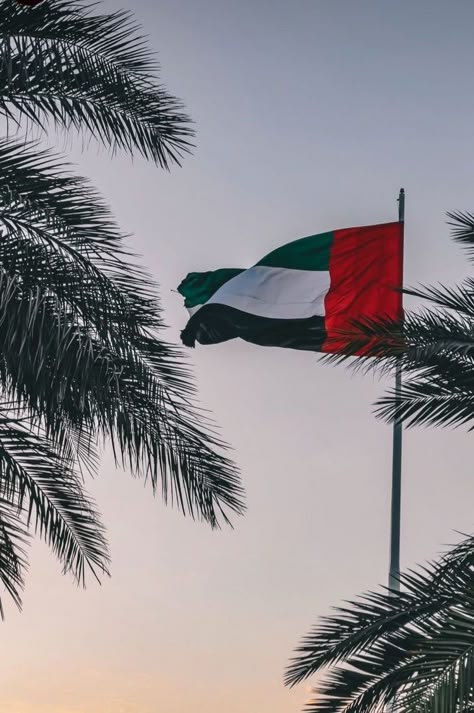 Uae Culture Aesthetic, Dubai Flag Wallpaper, United Arab Emirates Aesthetic, Emirates Wallpaper, Uae Flag Aesthetic, Uae Wallpaper, Dubai Flag, Emirati Culture, Uae Photography