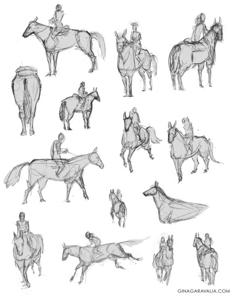 Horse And Rider Reference Drawing, Horseriding Reference, Person On Horse Drawing Reference, Horseback Riding Reference, Guy On Horse Reference, Sitting On Horse Pose Reference, Horse Rider Reference, Man Riding Horse Drawing, Horse Riding Drawing Reference