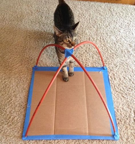 Pet Tent Diy, Cat Tepee House Diy, Diy Cat Tent How To Make, Diy Cat Teepee, Cat Nesting Box Kittens Diy, Dog Tent Diy, Diy Cat Hideout, Diy Kitten Playpen, Cat Tent Diy