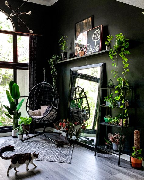 This black moody plant room is my home. #blackwindows #blackhouse #blackaesthetic #plantroom #plants #plantsofinstagram #pothos #monstera #emo #scene #elderemo #djsbeercave Dark Boho Goth Decor, Dark Plant House Aesthetic, Black And Green Living Room, Black And Green Decor, Future Moodboard, Dark Apartment, Dark Living Room Ideas, Goth Hippie, Apartment Things