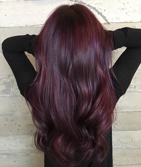 Dark Vampire Hair, Dark Purplish Red Hair, Dark Red Almost Black Hair, Burgundy Hair Plum Purple, Dark Ruby Hair, Cherry Coke Hair Color With Highlights, Burgundy Purple Hair, Wine Colored Hair, Purple Burgundy Hair