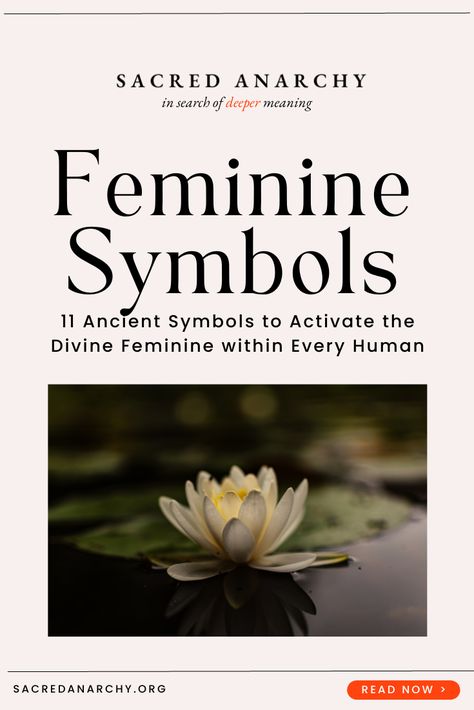 11 Ancient Symbols to Activate the Divine Feminine Within Every Human — Sacred Anarchy Feminine Symbols, Unconscious Mind, Esoteric Symbols, Conscious Awareness, Esoteric Art, Cute Small Tattoos, Dream Symbols, Feminine Tattoo, Egyptian Symbols