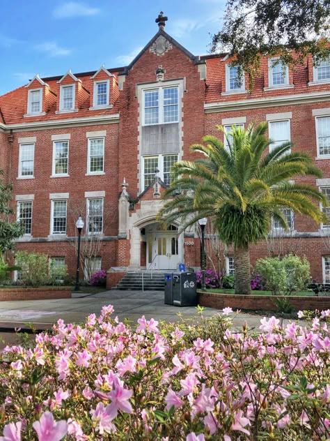 Uf Campus, University Of Florida Sorority, Florida College, Florida University Aesthetic, Florida University, College In Florida, Florida College Aesthetic, Florida State University Aesthetic, Uf Aesthetic