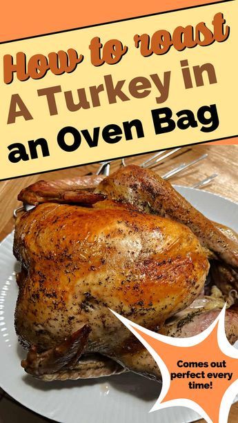 The holiday season is upon us, and the centerpiece of many festive tables is a perfectly roasted turkey. If you're on a quest for a stress-free, juicy, and flavorful turkey, I've got the solution for you – the oven bag method. My family has used this method for years to roast our birds, both chickens and turkeys. Using an oven bags ensures tender and juicy results every time! In this guide, I'll walk you through the steps to achieve turkey perfection with the help of an oven bag. #thanksgiving Best Roasted Turkey In A Bag, Cooking A Turkey In Oven Bag, Roasting Turkey In A Bag, Turkey In An Oven Bag Recipes, Turkey In The Bag Recipe, How To Cook The Perfect Turkey In The Oven, Cooking Bag Turkey Recipes, Best Way To Bake A Turkey In The Oven, Baking A Whole Turkey In The Oven