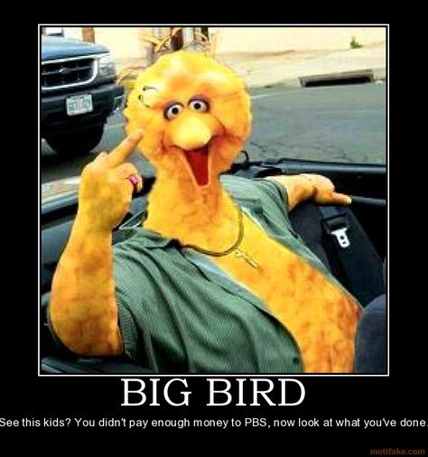 Image detail for -BIG BIRD sesamestreet big bird middlefinger Dave Chappelle, Rare Birds, Pictures Of The Week, Big Bird, Sesame Street, Pluto The Dog, Scooby Doo, Dumb And Dumber, Funny Pictures