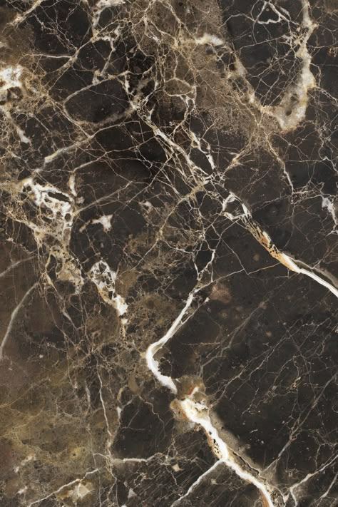 Beige Marble Tile, Marble Texture Seamless, Trunk Floor, Dark Emperador, Clay Roof Tiles, Emperador Marble, Stone Wall Design, Marble Columns, Marble Ceramics