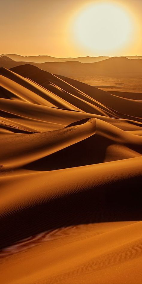 Desert Aesthetic, Deserts Of The World, Egyptian Civilization, Desert Photography, Desert Travel, Desert Life, Image Nature, Desert Art, Sunset View